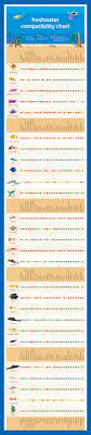 freshwater fish compatibility chart