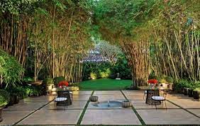 Bamboo Garden Tropical Garden Design