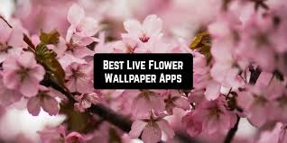 8 best live flower wallpaper apps for