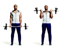30 best upper body workout exercises of