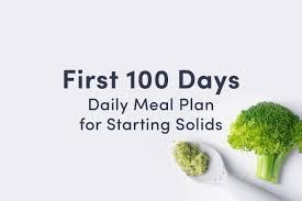 daily meal plan for starting solids