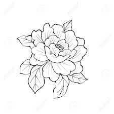 More cartoon characters coloring pages. Peony Flower With Leafs Coloring Book Page Stock Photo Picture And Royalty Free Image Image 141358264