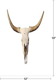 Long Horn Bull Skull Rendering Photo