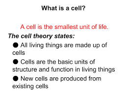 what is a cell the cell theory states