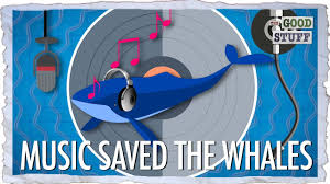 How We Saved The Whales With Pop Music Matt J Weber Medium