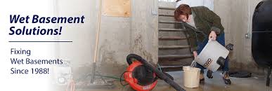 Basement Waterproofing Baltimore Crawl