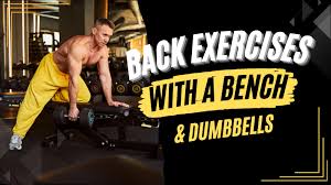 back exercises with a bench dumbbells