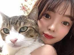 猫顔女性の特徴＆メイク方法】女優や韓国アイドル風のかわいい猫顔をゲットしよう♡ | LIPS