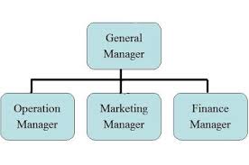 Modernish Cafe Business Plan Organization Chart