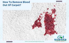 how to remove blood out of carpet