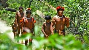Resultado de imagem para povos indigenas no brasil