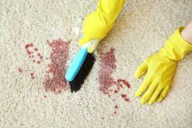 how to clean blood out of carpet fresh