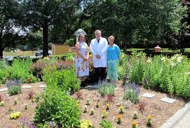 south side gardens burst with color