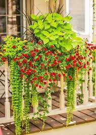 The rail planter fits standard rail sizes measuring from 3.5 to 5.5. 19 Railing Planter Ideas For Making Small Balcony Gardens