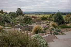 hyde hall show 2021 alpine garden society