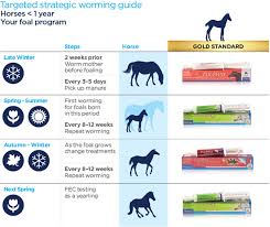 Choose The Correct Worming Horse Strategy
