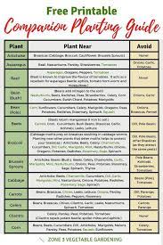 Companion Planting Chart With Free