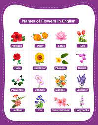 names of flowers a comprehensive