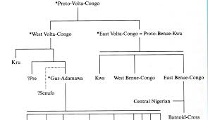 Igbo Language Roots And Pre History A Mighty Tree