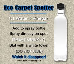 diy carpet spot cleaning trick with