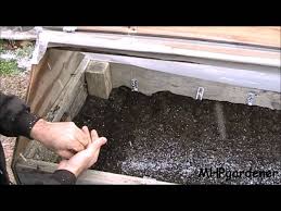 how to start seeds in a cold frame