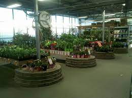 Home Depot Garden Center Garden