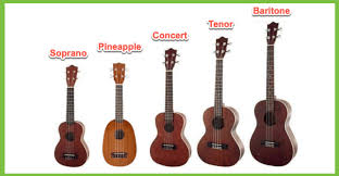 Ukulele Size Guide All You Need To Know Zing Instruments