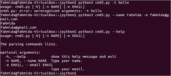 p arguments on command line in python