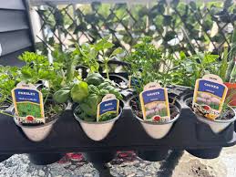 Diy Vertical Herb Garden Perfect For