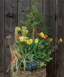 Showstopping Garden Container
