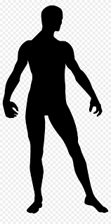Download 1,059,694 transparent images and stock photos. Transparent Stock Man Silhouette Man Model Silhouette Png Clipart 1402228 Pikpng