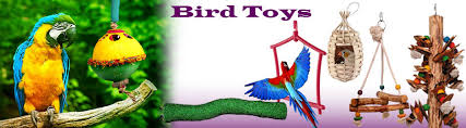 bird toys toy for bird in india