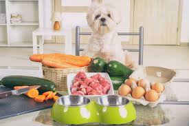 food for dogs with liver disease