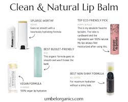 organic natural lip balm for dry lips