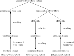 Lexical and grammatical meaning is very important meanings in linguistic study.these meanings have different roles in linguistic semantics.there is very much difference between two. Words And Morphemes Springerlink