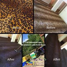 dye pro carpet dyeing restoration