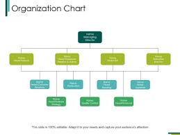 Organization Chart Ppt Powerpoint Presentation Infographic