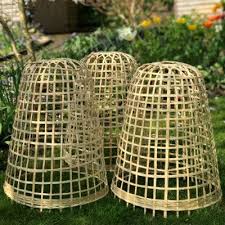 Buy Bamboo Bell Cloche Plant Cover