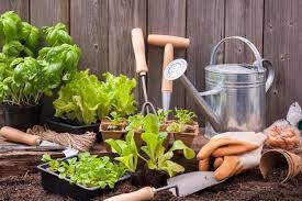 Gardening Tips For New Homeowners