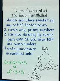 Prime Factorization Anchor Chart Factor Tree Method Math