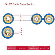 China Indoor Armoured Fiber Optic Cable Gjjzs China
