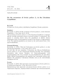 (PDF) On the occurrence of Orchis pallens L. in the Ukrainian ...