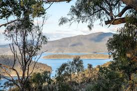 Image result for snobs creek wildlife reserve