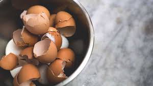 the benefits and risks of eating eggss