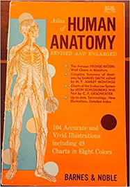 Atlas Of Human Anatomy Revised And Enlarged Fifth Edition