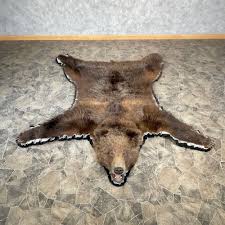 grizzly bear full size rug mount for