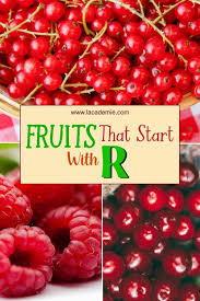 28 fruits that start with r their