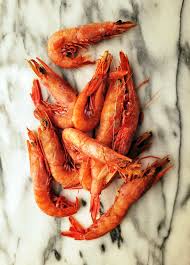 all about royal red shrimp how to