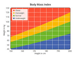 Body Mass Index In Cm And Kg Stock Illustration