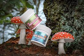 Introducing Moon Shrooms Amanita Mushroom Gummies: Our New Legal  Psychedelic - Galaxy Treats